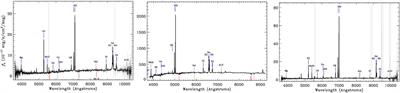 Fine Classification of QSOs and Seyferts for Activity Types Based on SDSS Spectroscopy